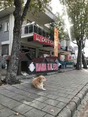 ThePetshop