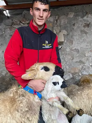Canpolat tarım ve hayvancılık