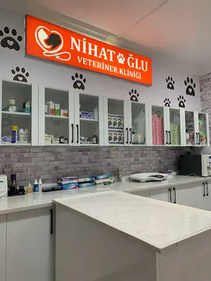 19 Mayıs Veteriner Kliniği