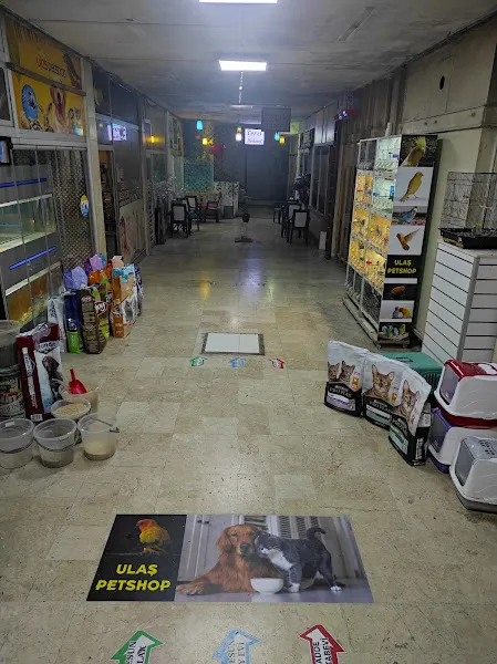 Ulaş Petshop foto 2