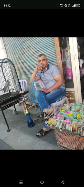 Zengin petshop foto 1