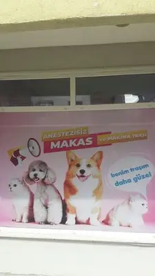 Şanslı Pet Kuaför