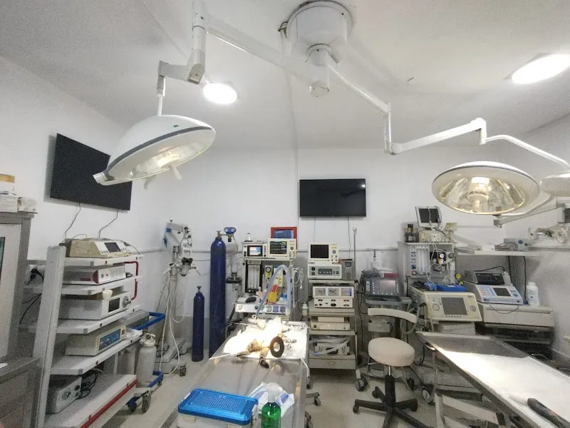 Batıkent Anka Veteriner Kliniği foto 1