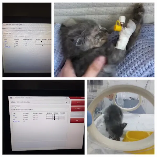 Batıkent Anka Veteriner Kliniği foto 2