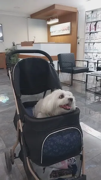 Ovacık animal love veteriner kliniği foto 2