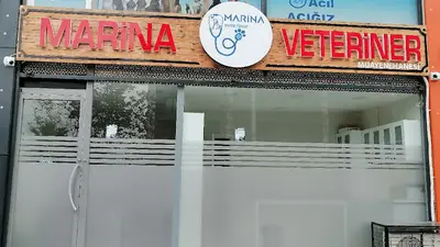 Marina Veteriner Kliniği - Beylikdüzü 7/24 Acil Veteriner