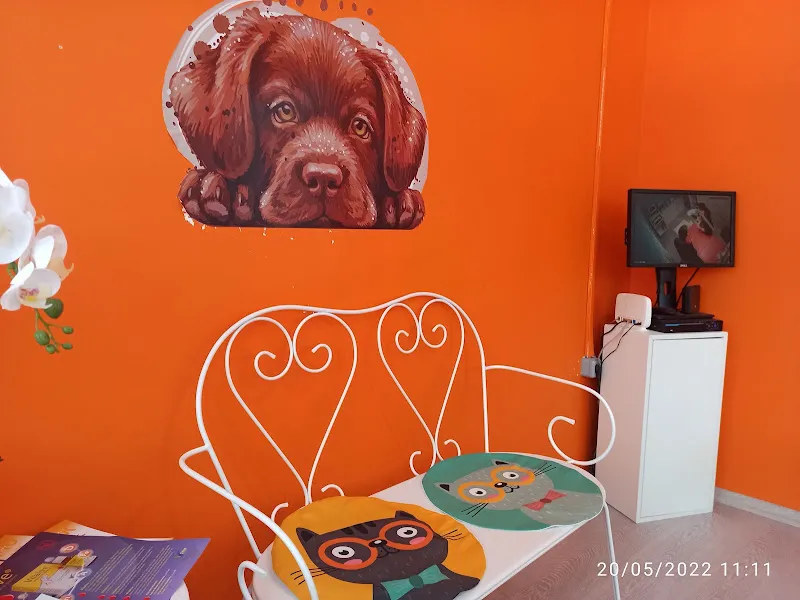 VET212 | KEDİLERE ÖZEL VETERİNER KLİNİĞİ foto 2