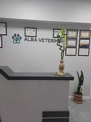 Beylikdüzü Veteriner - Alba Veteriner Kliniği | Beylikdüzü 7/24 Veteriner Kliniği - Arayıp Randevu Alınız