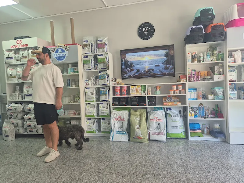 Beylikdüzü Veteriner - Alba Veteriner Kliniği | Beylikdüzü 7/24 Veteriner Kliniği - Arayıp Randevu Alınız foto 2