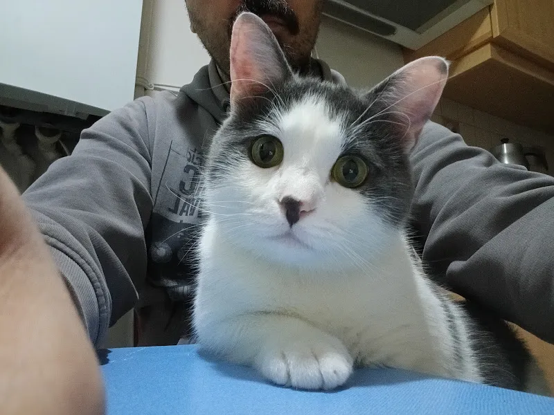 Beykent Veteriner Kliniği foto 1