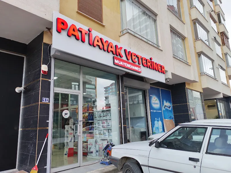 Patiayak Veteriner Kliniği foto 1