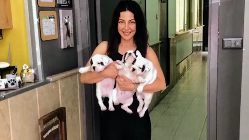 Bahar Veteriner Kliniği foto 1