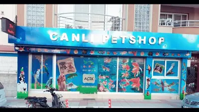 Canlı Petshop