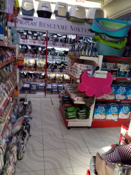 Sude Akvaryum & Pet Market foto 2