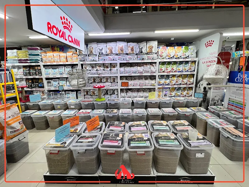 Ayaz Pet Shop foto 2