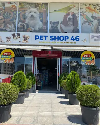 Pet Shop 46