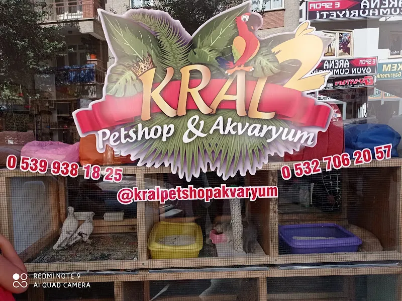 Kral Petshop , Akvaryum &PetHotel foto 2