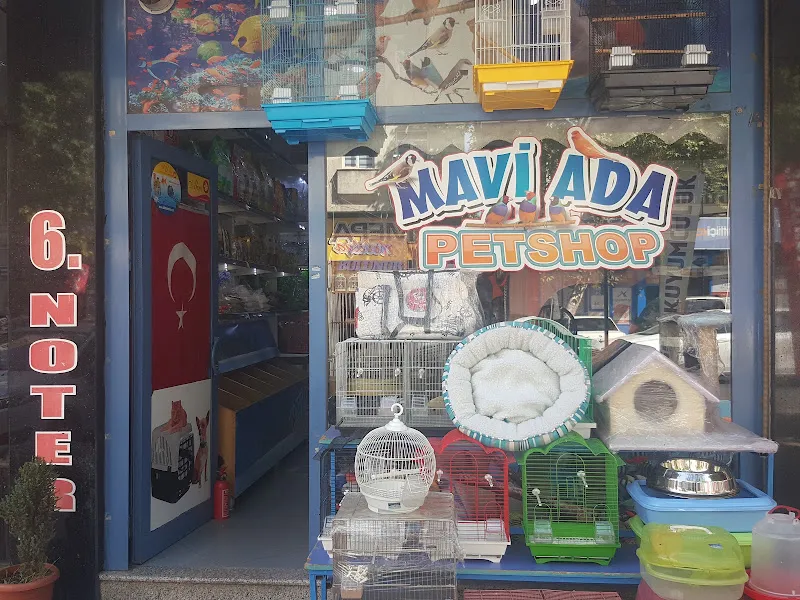 Mavi Ada Petshop foto 2