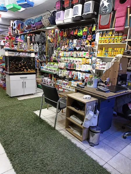 FLORYA PETSHOP foto 2