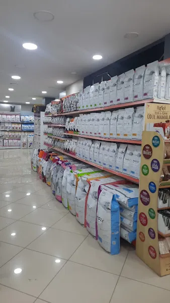 Safari Akvaryum Kongre Toptan &parakende foto 2