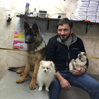Sivas petshop Nunu pet shop & pet kuaför banyo ve traş