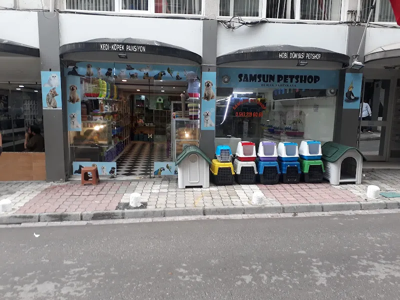 SAMSUN PETSHOP BURAK ŞAHİNKAYA foto 1