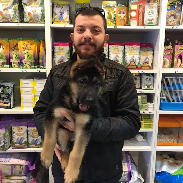 SAMSUN PETSHOP BURAK ŞAHİNKAYA foto 2