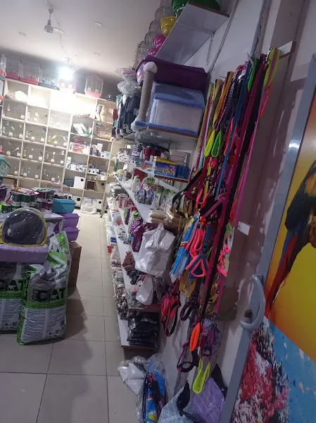 Avcı Pet Shop Akvaryum foto 2