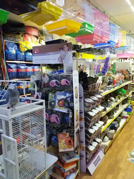 Mybest Petshop foto 2