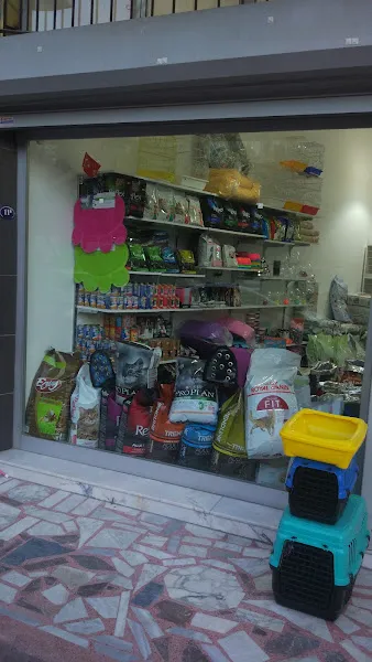Anka petshop foto 2
