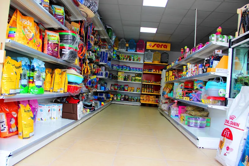 Pati Petshop foto 2