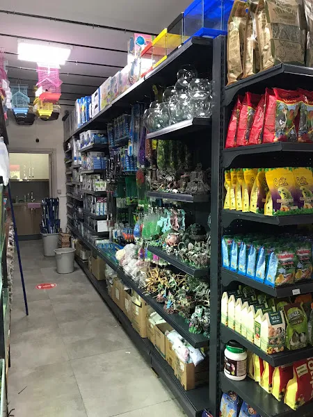 Milas Doğa Petshop Av Bayii foto 2