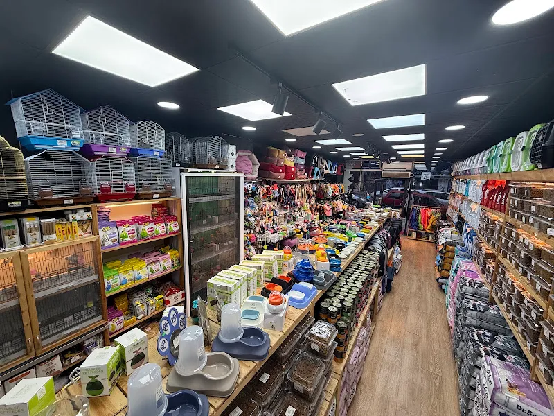 Çorlu petshop TOM JERRY PET HOUSE & PET KUAFÖR foto 2