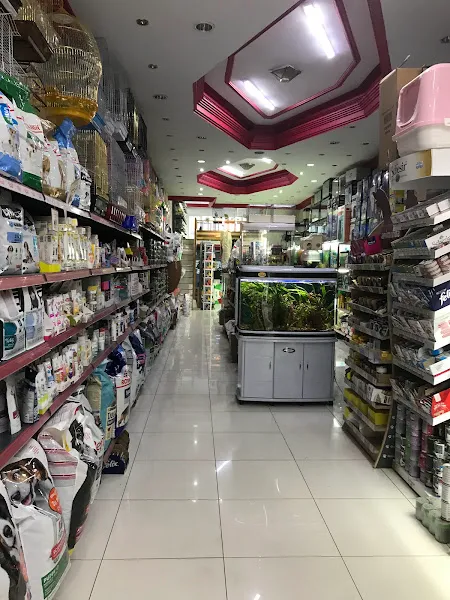 IŞIK PETSHOP foto 2