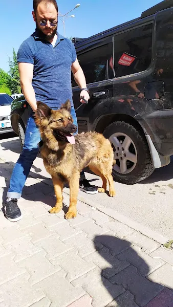 PETPARK VETERİNER KLİNİĞİ KARAMAN foto 2