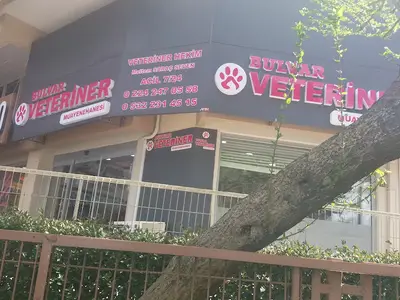 Bulvar Veteriner Kliniği fotoğrafı