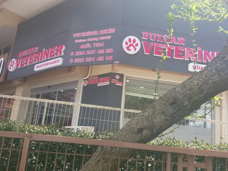 Bulvar Veteriner Kliniği foto 1