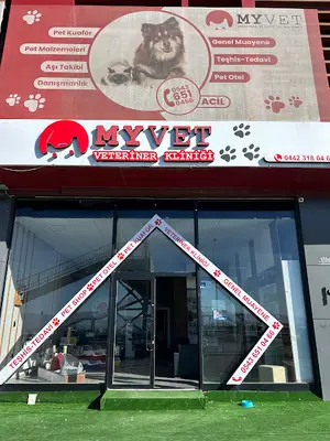 MyVet Veteriner Kliniği - Erzurum