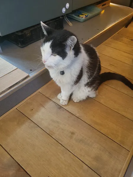 MyVet Veteriner Kliniği - Erzurum foto 2