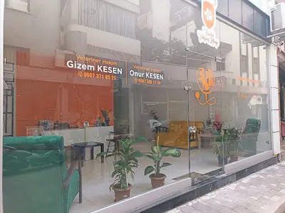 İstanbul Veteriner Kliniği
