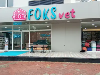 Foksvet Veteriner Kliniği - Adana