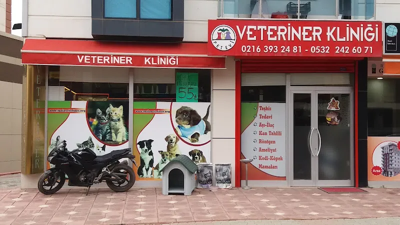 Tuzla Pet Evi Veteriner Kliniği foto 1