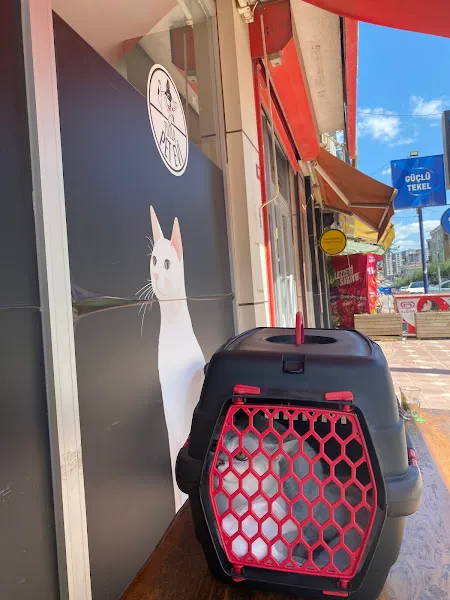 Tuzla Pet Evi Veteriner Kliniği foto 2