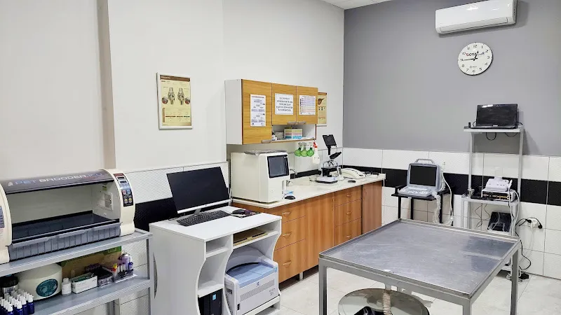 Aydın Merkez Veteriner Kliniği (Cemil ŞAHİN-Bircan ÖZTÜRK) foto 1