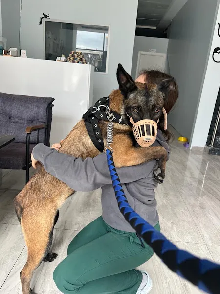 Ovacık Petova Veteriner Kliniği foto 2