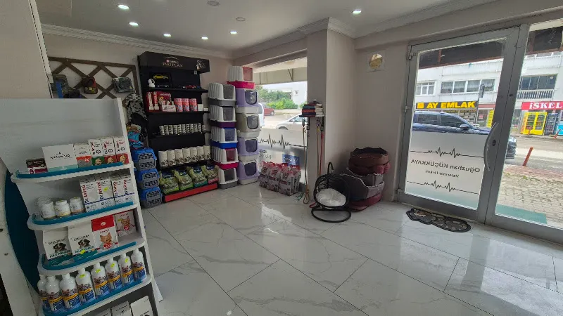 candostlar veteriner kliniği foto 1