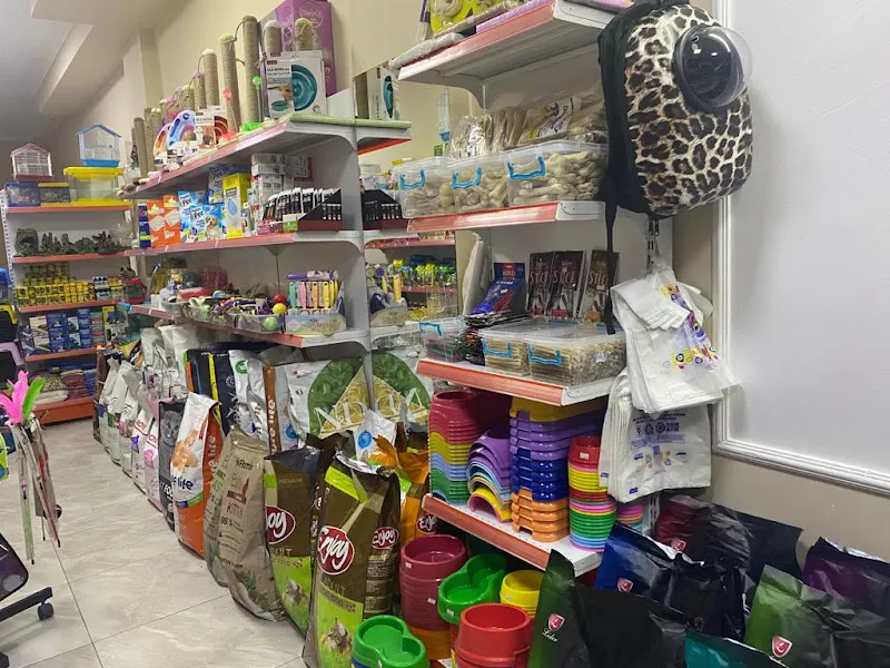 Şans Pet Shop foto 2