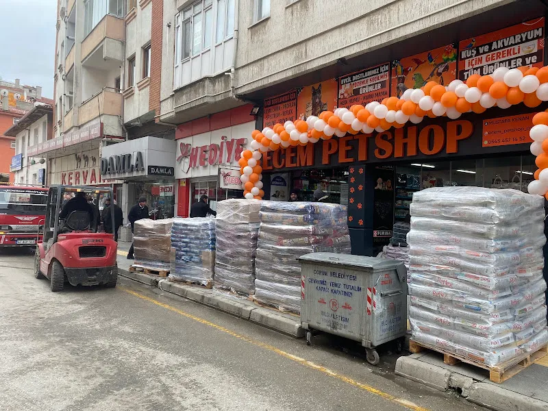 ECEM PETSHOP (EVCİL HAYVAN MAĞAZASI foto 2