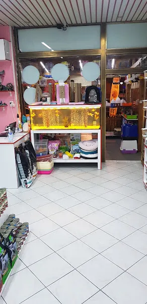 Ege petshop foto 1