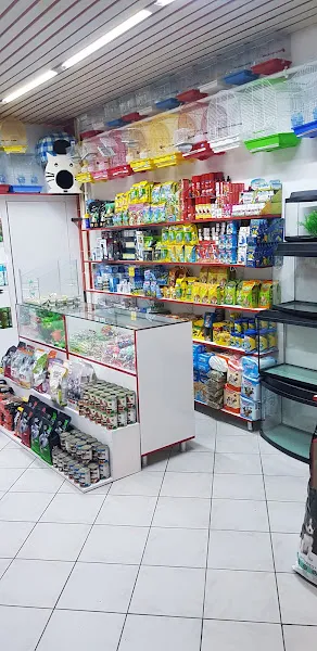 Ege petshop foto 2